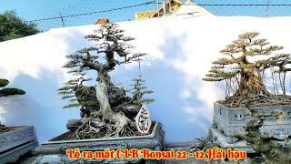 Tin mới! Lễ ra mắt CLB Bonsai 22/12 Hải hậu