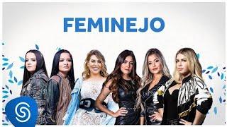 Feminejo melhores clips 2019