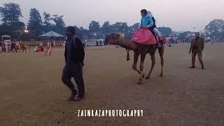 Winter Festival at Race Course Park Lahore