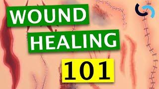 Wound Healing - Everything You Need to Know