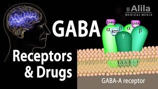 Neuroscience Basics: GABA Receptors and GABA Drugs, Animation