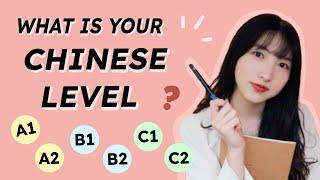 What’s Your Chinese Level? Take This Test to Find Out!