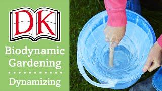 Biodynamic Gardening: How to Dynamize Biodynamic Preps