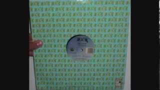 Saccoman - The bounce (1999 Surfin')