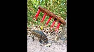Mind Blowing Traps 