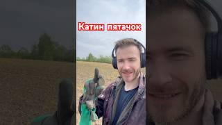 Нашел Катин пятак и много всего рядом #коп #копатель #поиск #тренды
