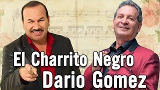 EL CHARRITO NEGRO y DARIO GOMEZ - Musica Popular Mix