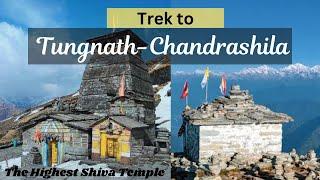 TUNGNATH: Highest Shiva Temple | CHANDRASHILA TREK | Chopta To Tungnath | Tungnath 2024