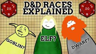 Dungeons & Dragons Race Names Explained