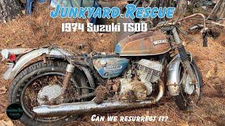 1974 Suzuki T500 ABANDONED in the JUNKYARD - Getting it to Run Again (Our Biggest Challenge so far!)