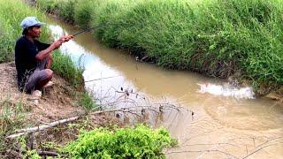 REJEKI MANCING Di PARIT.! YANG MAU KERING IKAN NYA BESAR PADA NGUMPUL