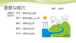 【経絡経穴を覚えよう】要穴