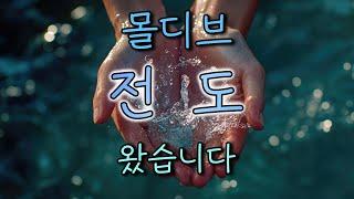 몰디브 고민 될 때