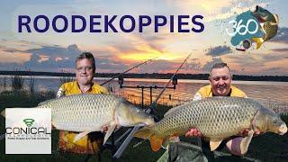 Roodekoppies Kameeldrift resort, S5 Ep4