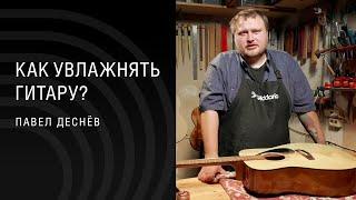 Уход за гитарой. Обзор гитарных увлажнителей D’Addario с Павлом Деснёвым.