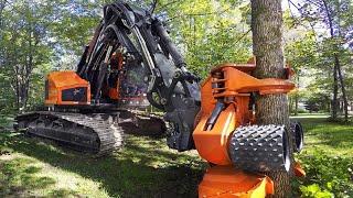 Incredible Powerful Tree Harvester Machines Like You’ve Never Seen