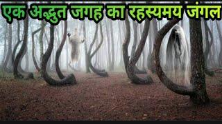 एक अद्भुत जगह का रहस्यमय जंगल | crooked forest mystery |