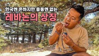 한국인에겐 흔하지만 중동사람에겐 신기한 레바논의 상징 - [65]