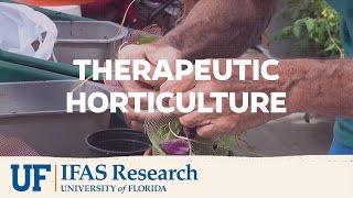 UF/IFAS Research | Therapeutic Horticulture