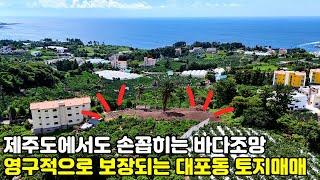 제주도토지매매, 제주도내에서도 손꼽힐정도로 좋은 서귀포시 대포동 토지매매, 제주도부동산, 제주도주택, 제주도타운하우스