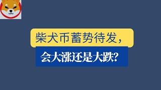 shib币 | 柴犬币 | 屎币、2月1日最新行情分析！柴犬币蓄势待发，会大涨还是大跌？