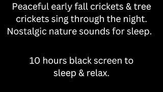 Peaceful early fall crickets & tree crickets sing, black screen sleep & relax 10 hour cricket sounds