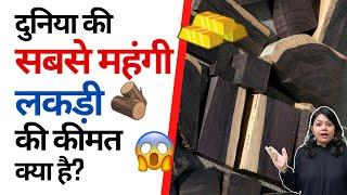 दुनिया की सबसे महंगी लकड़ी 🪵 की कीमत क्या है?  | Factovation | Purnima Kaul #shorts #backtobasics