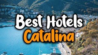 Best Hotels In Catalina, Arizona - For Families, Couples, Work Trips, Luxury & Budget