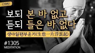  귓전명상대학 1305일차 수행정진 + "보되 본 바 없고 듣되 들은 바 없다 생야일편부운기(生也一片浮雲起)" + 절운동 + 좌선&확언명상(필사Day47) ▶Meditation