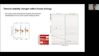 SymbNET Kick-off Meeting - André Mateus, EMBL