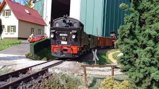 Sächsische Schmalspurbahn 2 LGB / Gartenbahn / Spur G