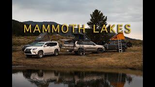 Mammoth Lakes Overland Fishing Trip | Catch and Cook