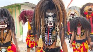 Seru !! Arak Arakan Barongan Blora dan Reog Ponorogo Seni Barong TARUNO ADI JOYO Live Gamping