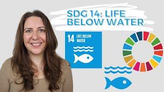 SDG 14 Life Below Water - UN Sustainable Development Goals - DEEP DIVE