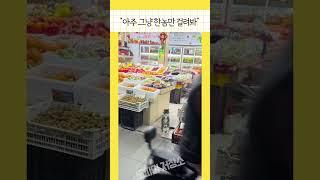 고양이 모음집 #funny #기분좋아지는영상 #웃긴짤