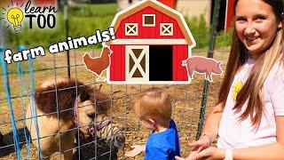 Farm Animals | Learn About Farm Animals for Kids | Farm Animals for Toddlers | Chickens Goats Horses