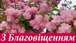 Зі Святом Благовіщення Пресвятої Богородиці 25 березня! Вітання з Благовіщенням Пресвятої Богородиці