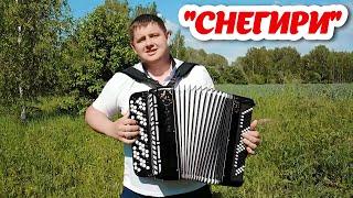 "Снегири" песня под баян, поёт Николай Лудин. Автор песни Сергей Трофимов. Кавер версия.