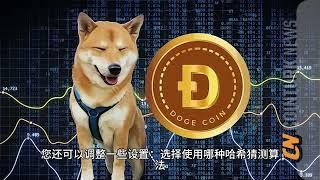 狗狗币狂暴大牛市即将开始！狗狗币挖矿原理与教程！DOGECOIN TO THE MOON！