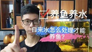 自来水不能直接用来养观赏鱼，需要经过这简单的处理，你做对吗？