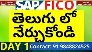 DAY 1- తెలుగులో SAP FICO CLASS | SAP FICO ONLINE TRAINING | SAP FICO IN TELUGU