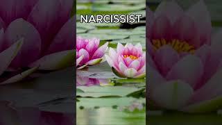 What To Do If You Are A Narcissist