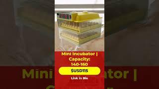 Best Mini Incubator for Efficient Egg Hatching