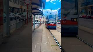 Vienna Tram 37 HoheWarte #viennacity #österreich #tram in vienna