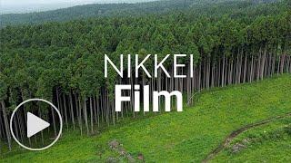 Five times stronger than steel: Japan's new 'wood' | Nikkei Film