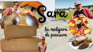 Sara, la malgara di pianura