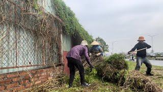 Clean up the weed disaster covering the surrounding wall - rescue the sidewalk - revive