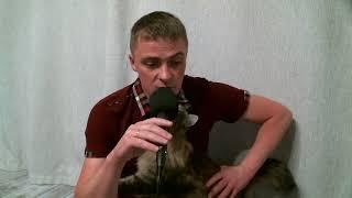 Как программист 1С склад в порядок приводил