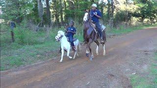 Little White Shetland Pony on a Trail Ride in Texas (LiL Big Block)