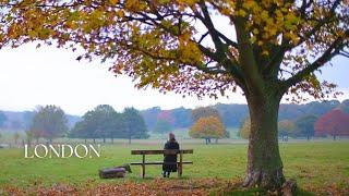 Vlog| Cozy Autumn weekend in my London Life|Chiswick Vintage Market, Richmond Park